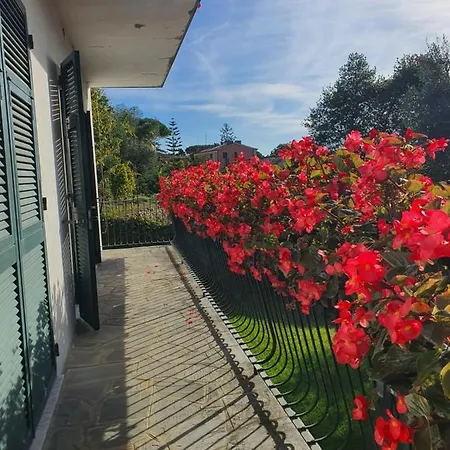 Michelina Seconda Rapallo