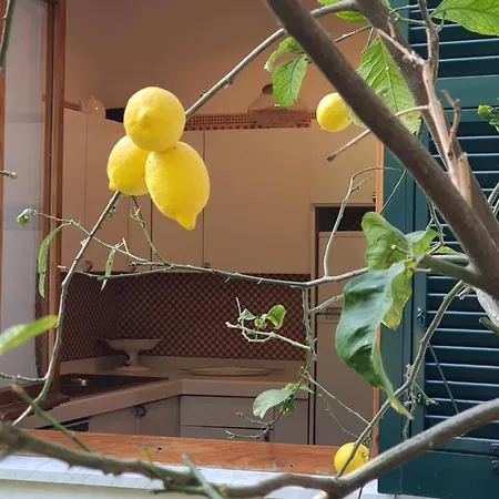 Michelina Seconda